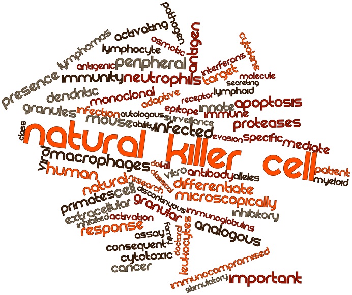 Word cloud for Natural killer cell